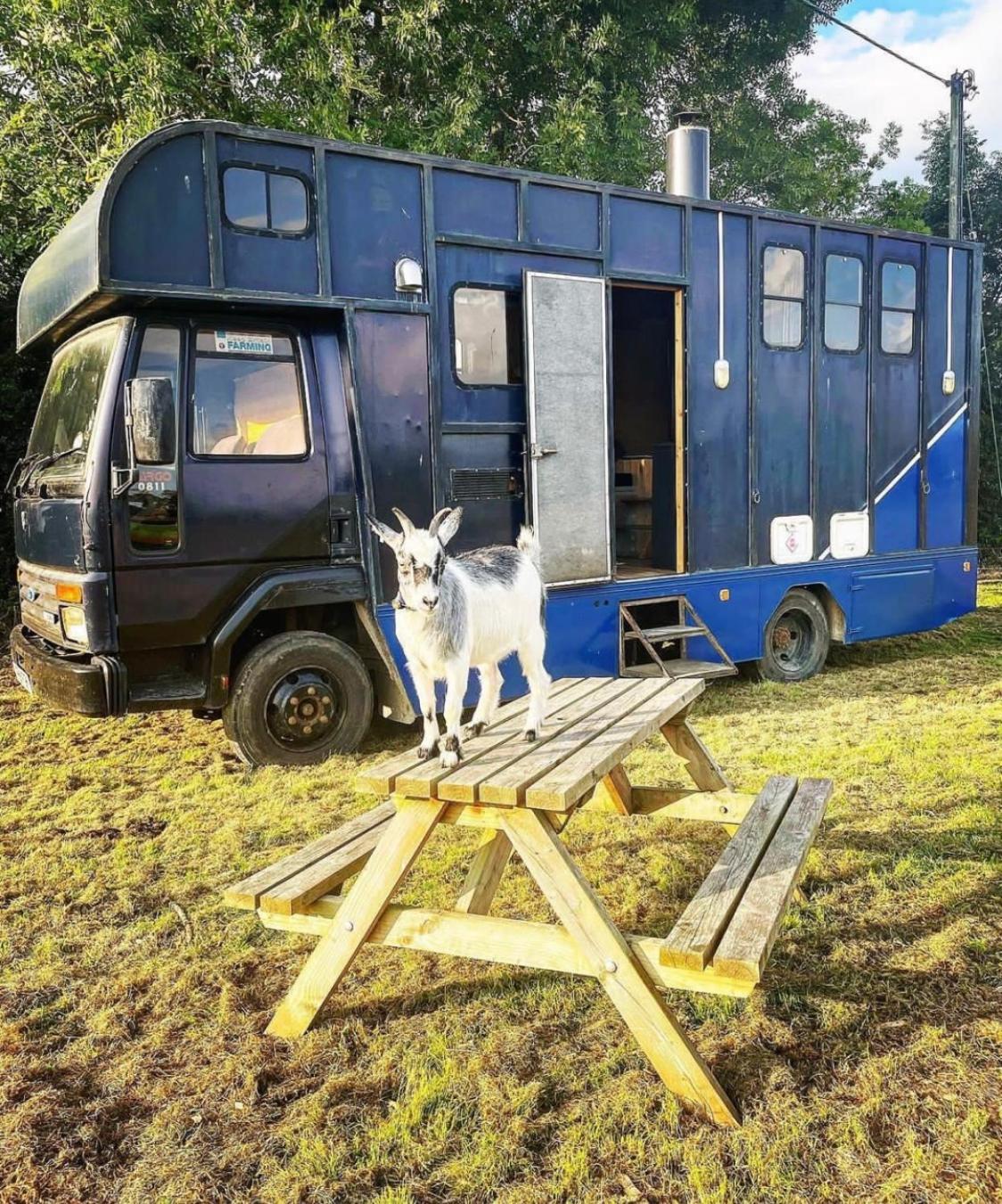 North Yorkshire Horse Box Hotel Ngoại thất bức ảnh