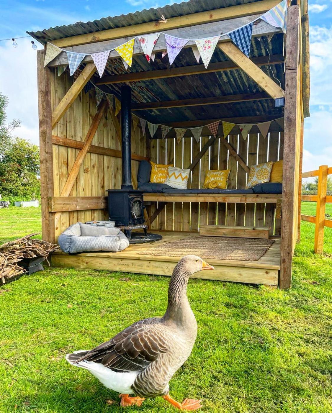 North Yorkshire Horse Box Hotel Ngoại thất bức ảnh